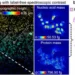 Figure | DART enables label-free molecular imaging with quantitative virtual staining.  (a) Mesoscale molecular ima
