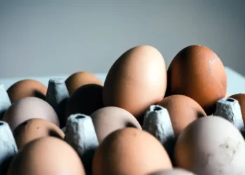 Pénurie d’œufs : une crise qui s’aggrave, la ministre de l’Agriculture appelle à « accepter » plus de poulaillers