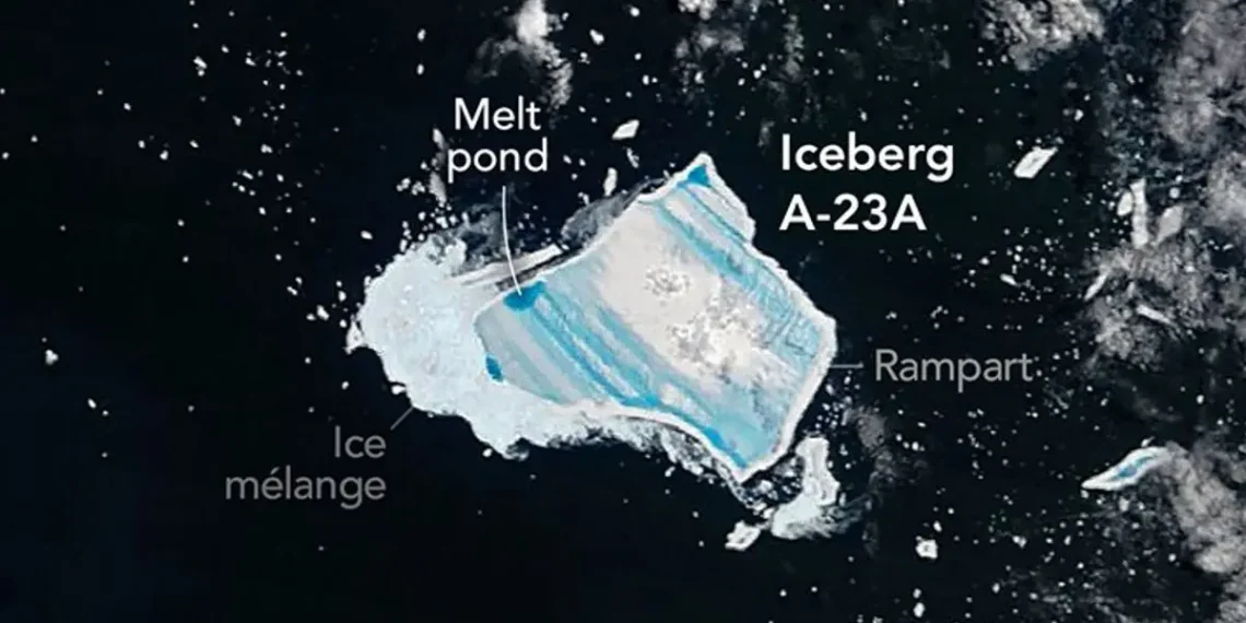 A23a, le plus vieil iceberg du monde, se disloque à l’approche de la Géorgie du Sud