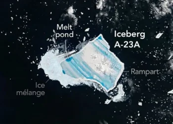 A23a, le plus vieil iceberg du monde, se disloque à l’approche de la Géorgie du Sud