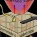 Overcoming symmetry limits in photovoltaics through surface engineering