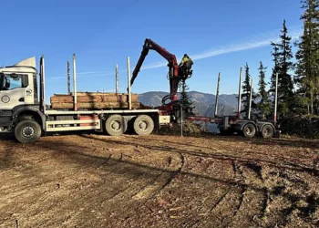 Loading logs onto trucks is set to become safer