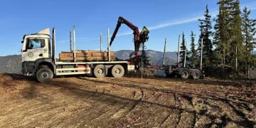 Loading logs onto trucks is set to become safer