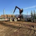 Loading logs onto trucks is set to become safer
