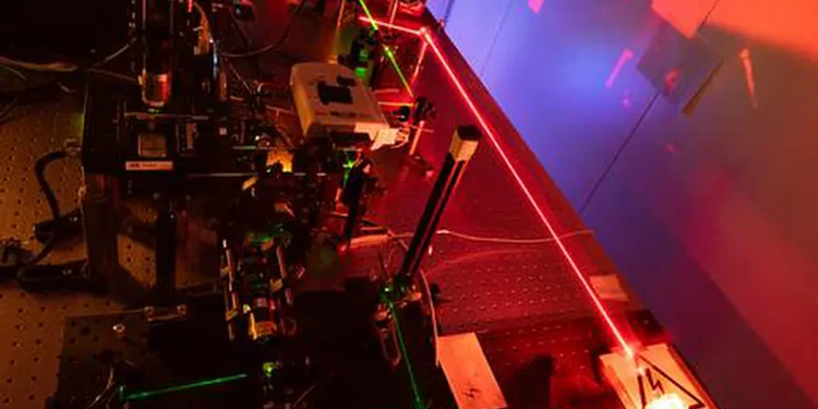 Schematic of the experimental setup used to combine polarization microscopy with dark-field microscopy