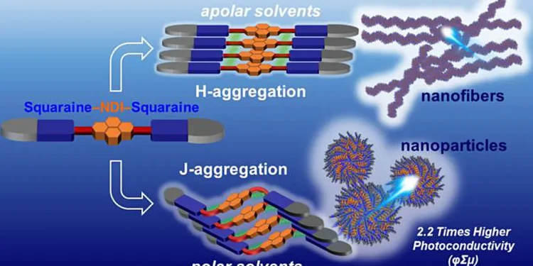 Depending on the solvent, TISQ spontaneously organizes into nanoparticle-like J-type or nanofiber-like H-type aggregates