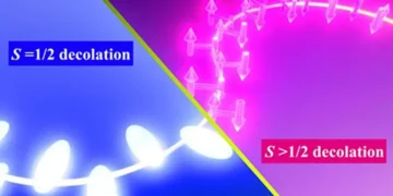 The size of the spin crucially affects how the system behaves. At spin-1/2, fully quantum spins pair up and cancel each