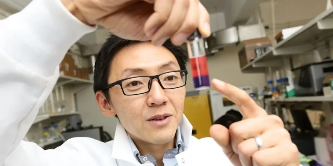 Une nouvelle méthode pour exploiter d'immenses réserves de lithium