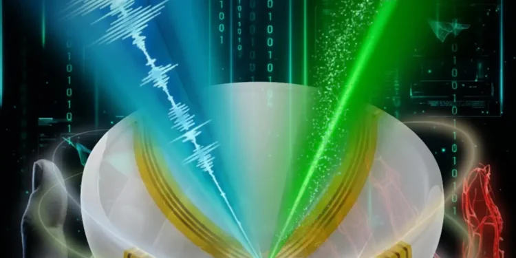 Apporter la couleur optique à l'échographie