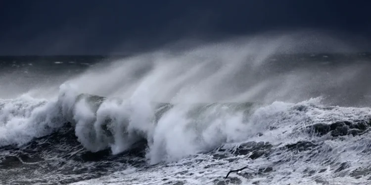 Tempête Ingrid : vents violents et pluies intenses frappent l'ouest de la France