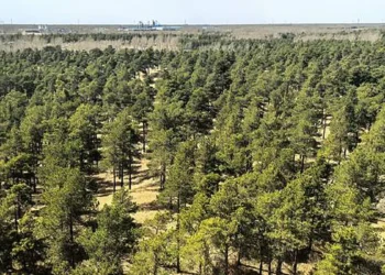 Taklamakan rim with shrublands as it looks today.