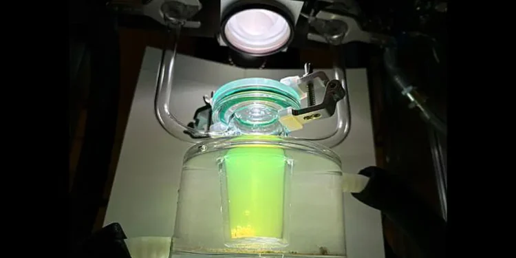 A research breakthrough opens up for efficient hydrogen production from solar energy – without using the scarce metal pl