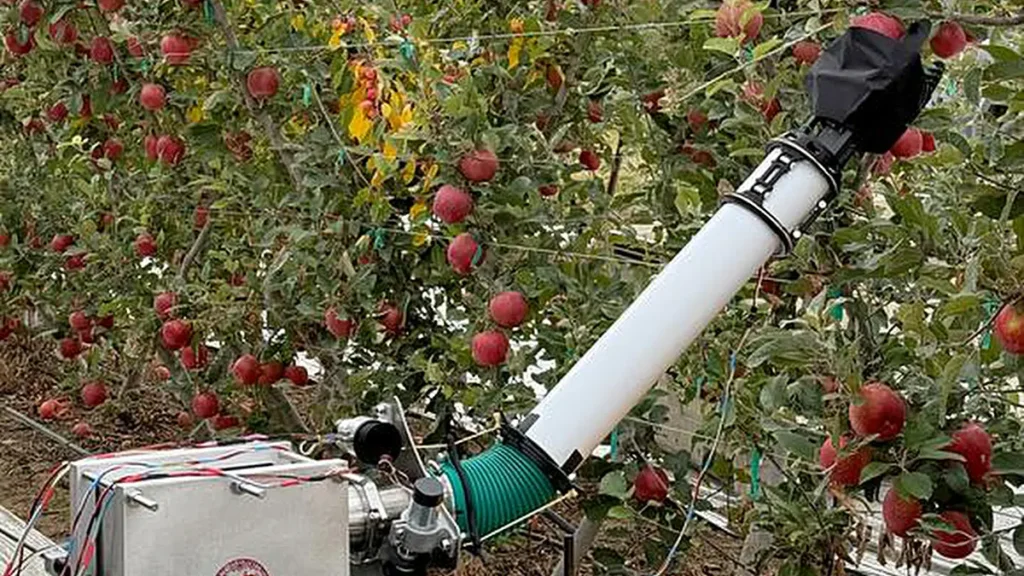 Les arboriculteurs du monde entier sont confrontés à une pénurie de main-d'œuvre pour des opérations essentielles telles que la récolte et la taille. 