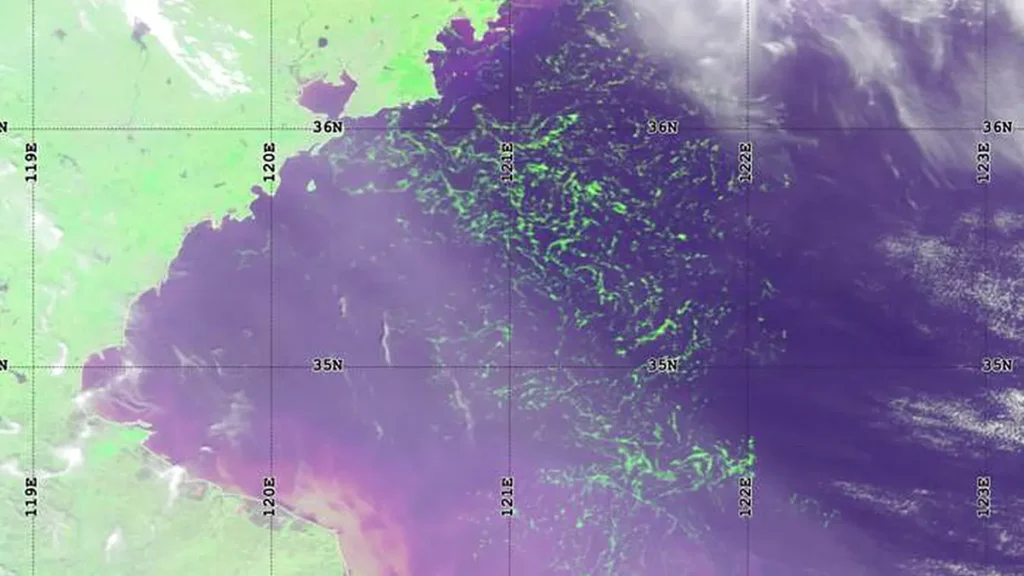 Satellite image of Ulva macroalgae in the Yellow Sea.