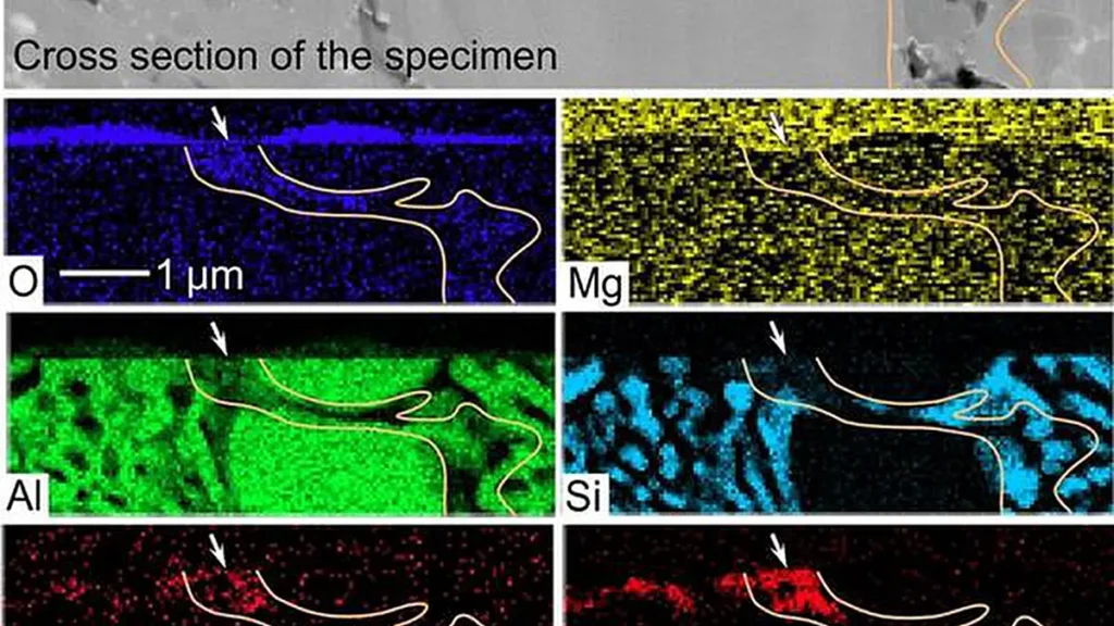Image obtenue par microscopie électronique à transmission à balayage transversal et spectroscopie à rayons X à dispersion d'énergie correspondante