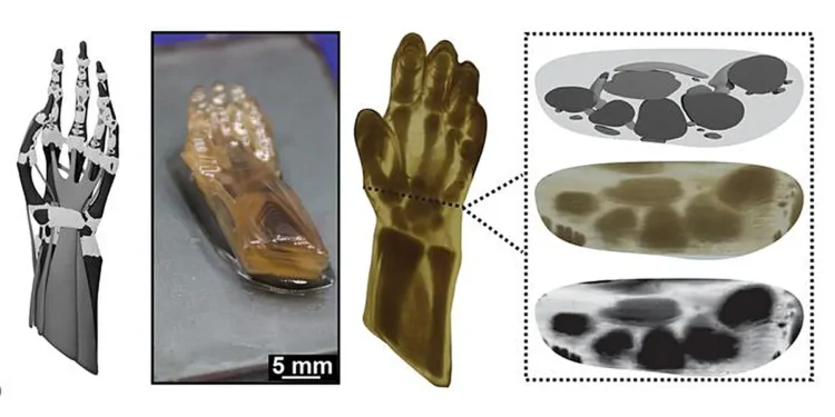 Using an affordable 3D printer and the CRAFT method, researchers created a model human hand from a single feedstock
