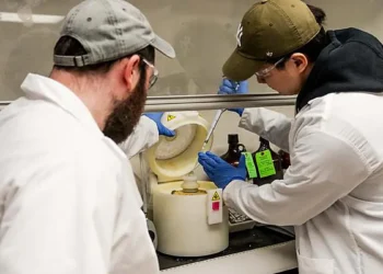 Dor Tillinger and Wonbae Lee, two researchers in the Penn State College of Engineering, prepare a glass substrate with m