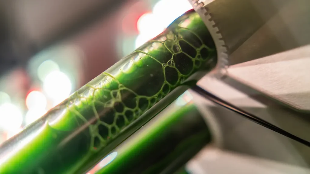 Cette souche révolutionnaire d'algues peut éliminer les microplastiques, nettoyer les eaux usées et, à terme, aider les scientifiques à utiliser les microplastiques éliminés pour créer des produits bioplastiques durables.