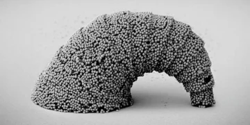 SEM images of a dangling croissant-shaped microstructure with a 3D curved surface assembled from SiO 2 particles. 