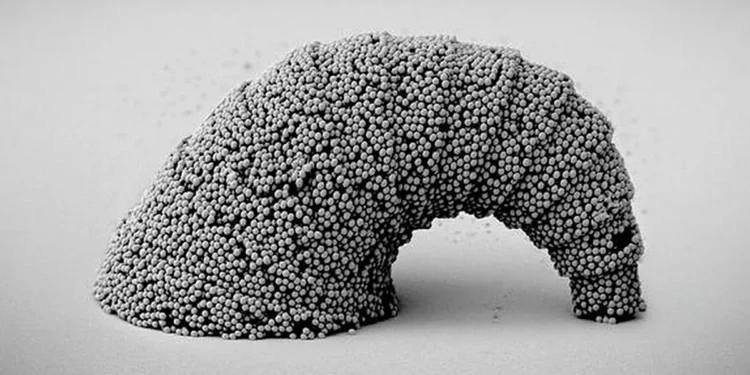 SEM images of a dangling croissant-shaped microstructure with a 3D curved surface assembled from SiO 2 particles. 