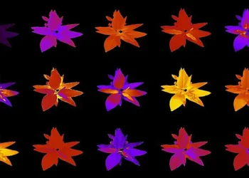 Hyperspectral imaging in ORNL’s Advanced Plant Phenotyping Laboratory captures plant biochemical composition beyond visi