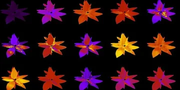 Hyperspectral imaging in ORNL’s Advanced Plant Phenotyping Laboratory captures plant biochemical composition beyond visi