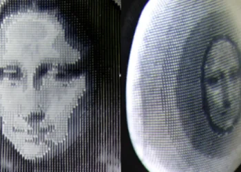 Des chercheurs développent un matériau synthétique intelligent inspiré de la peau de pieuvre