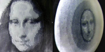 Des chercheurs développent un matériau synthétique intelligent inspiré de la peau de pieuvre