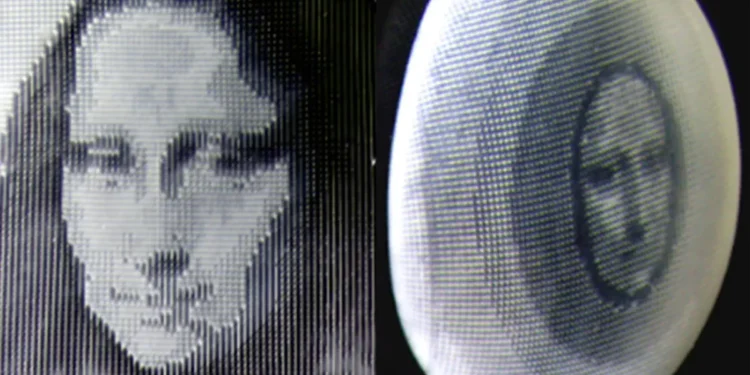 Des chercheurs développent un matériau synthétique intelligent inspiré de la peau de pieuvre