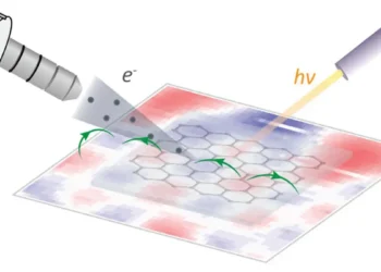 Un regard plus clair sur les matériaux critiques, grâce aux aimants de réfrigérateur