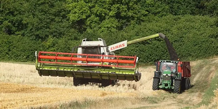 Biocarburants : stop ou encore ?