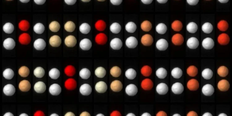 A stop-motion image that shows pairs of millimeter-scale beads forming a time crystal over approximately one-third of a