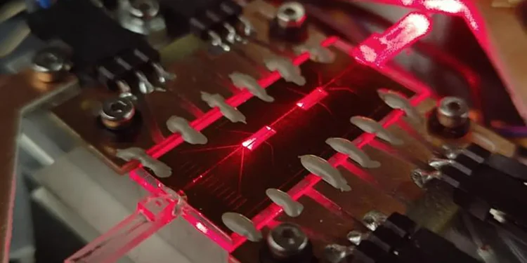 Une puce en verre gravée au laser démontre le potentiel des plateformes en verre pour la communication quantique. (Crédit : Marco Avesani, Université de Padoue.)