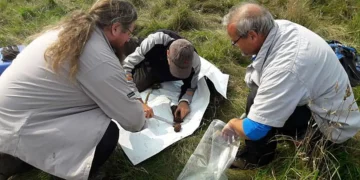 Des travaux sur le terrain sont menés afin d'examiner l'impact sur le sol.