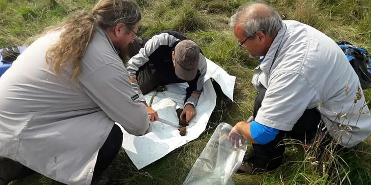 Des travaux sur le terrain sont menés afin d'examiner l'impact sur le sol.