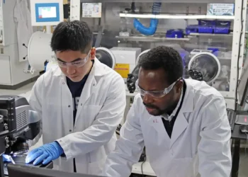 Un additif pourrait renforcer les cellules solaires organiques