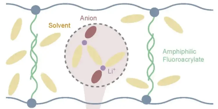 Un nouvel électrolyte pour des batteries plus robustes et plus sûres