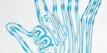 A 3D printed hand, with hinges, before perfusion.