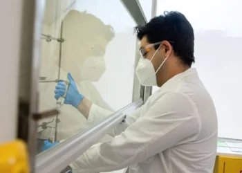 Un matériau végétal offre une méthode durable pour récupérer un élément de terres rares