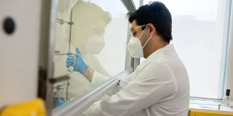 Un matériau végétal offre une méthode durable pour récupérer un élément de terres rares