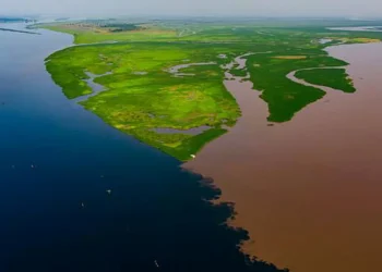 At the confluence of the Fimi and Kasai rivers in the Democratic Republic of Congo, dark water from forest landscapes me