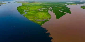 At the confluence of the Fimi and Kasai rivers in the Democratic Republic of Congo, dark water from forest landscapes me