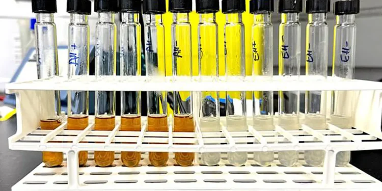 Microbial hydrogenation reactions using chemically (left) and enzymatically (right) degraded bread waste. Cred