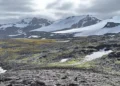 Remains of the McCloud Glacier, 2024, photographed by Prof Pete Convey. "Note the clear nunatak at the mid-right of the