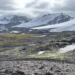Remains of the McCloud Glacier, 2024, photographed by Prof Pete Convey. "Note the clear nunatak at the mid-right of the