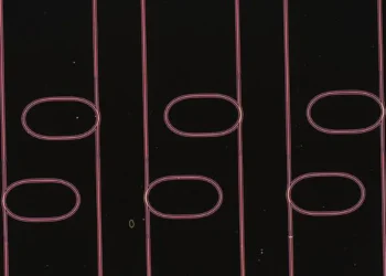 Optical waveguide microresonators on a chip created in this effort, which are ten times thinner than human hair. 