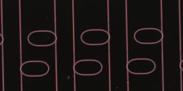 Optical waveguide microresonators on a chip created in this effort, which are ten times thinner than human hair. 