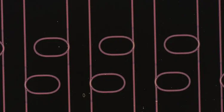 Optical waveguide microresonators on a chip created in this effort, which are ten times thinner than human hair. 