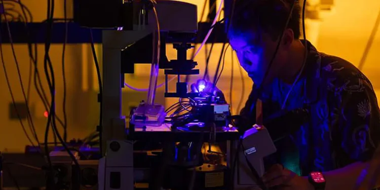 Doctoral student Roark Chao researches microLEDs at UC Santa Barbara