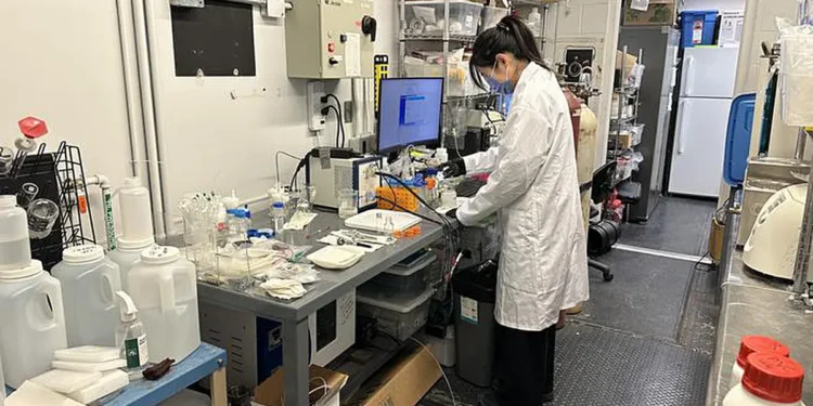 University of Waterloo PhD student Wei Wei, who led the research, in the lab working on plastic upcycling.